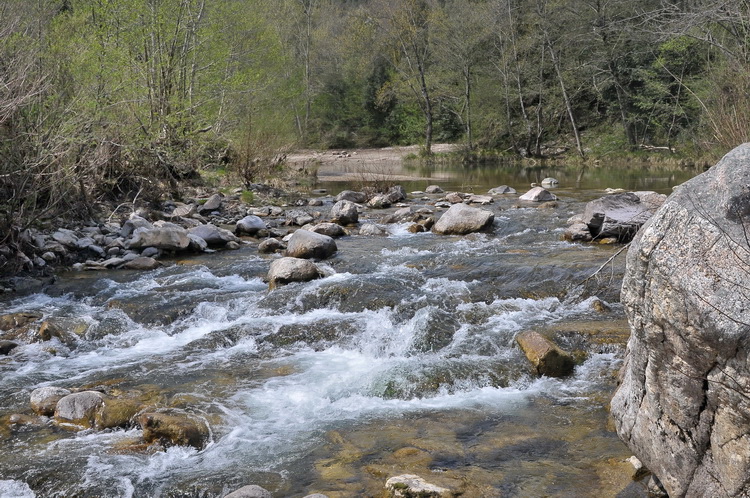 Valle del Farma e Stagno della Troscia: luoghi meravigliosi!